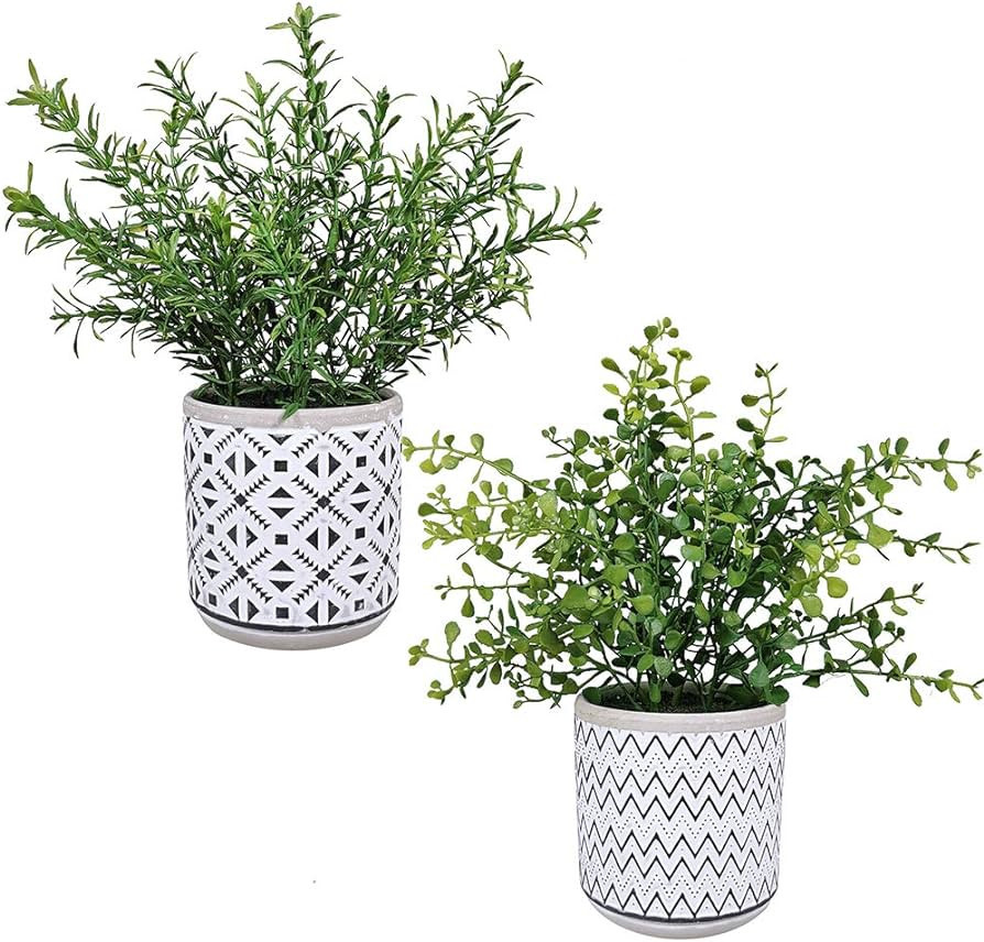 Winlyn 2 Pack Small Potted Eucalyptus Plant Artificial Plants Green Boxwood Rosemary Greenery in ... | Amazon (US)