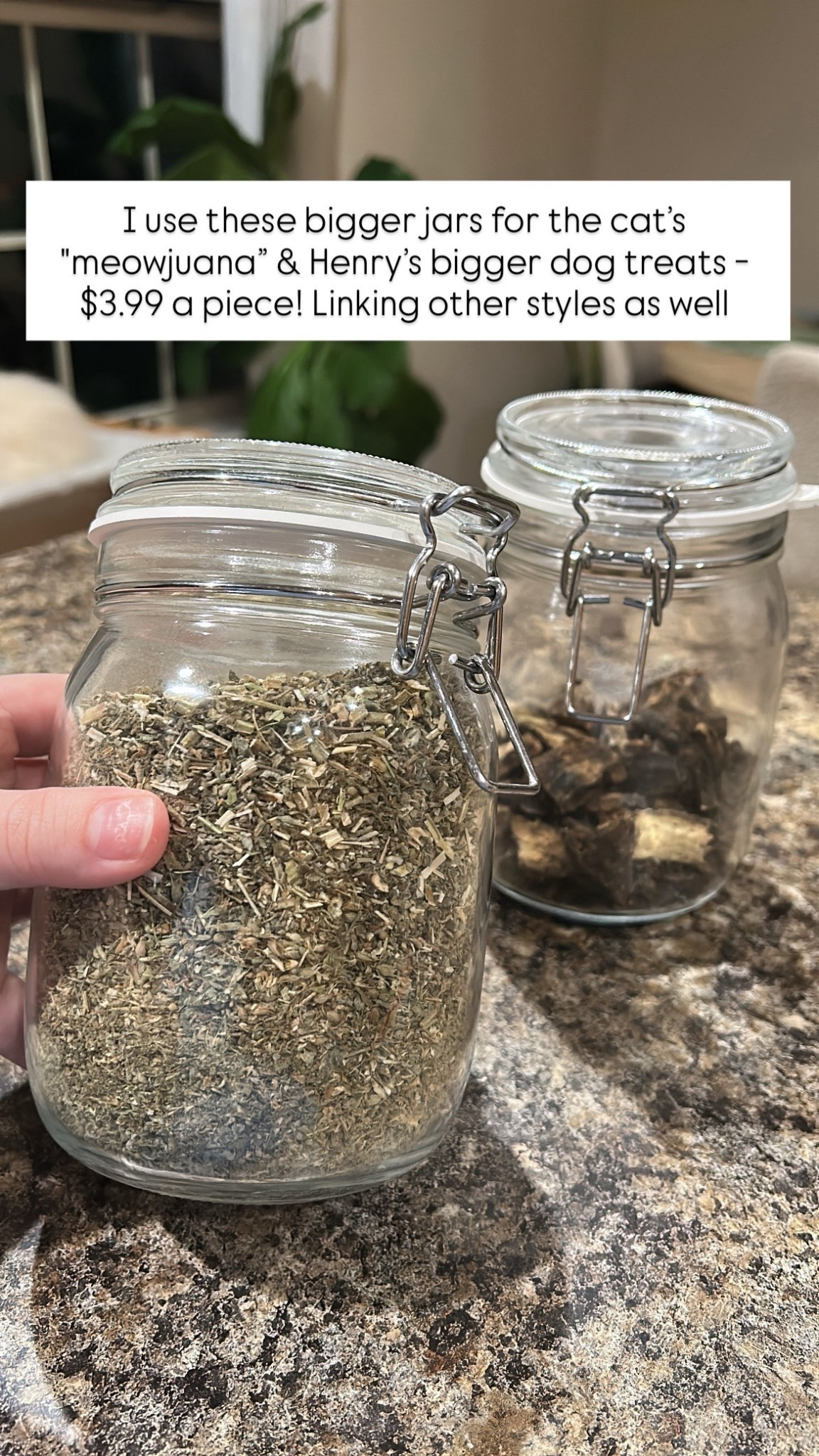 Larger treat jars #LTKpetcare #LTKdogs #LTKcats #LTKpets #LTKorganization

#LTKHome