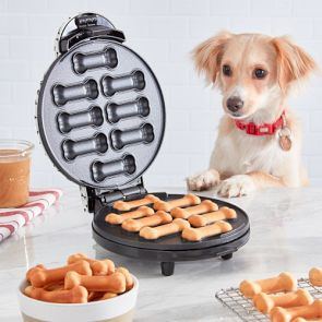 Dash Dog Treat Maker | Williams-Sonoma