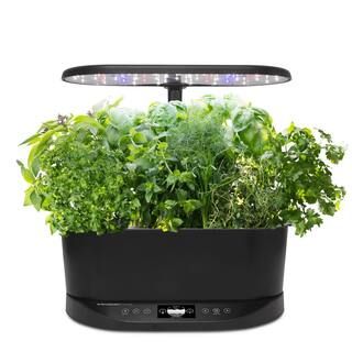 AeroGarden Bounty Basic - In Home Garden with Gourmet Herb Seed Pod Kit 903126-1100 - The Home De... | The Home Depot