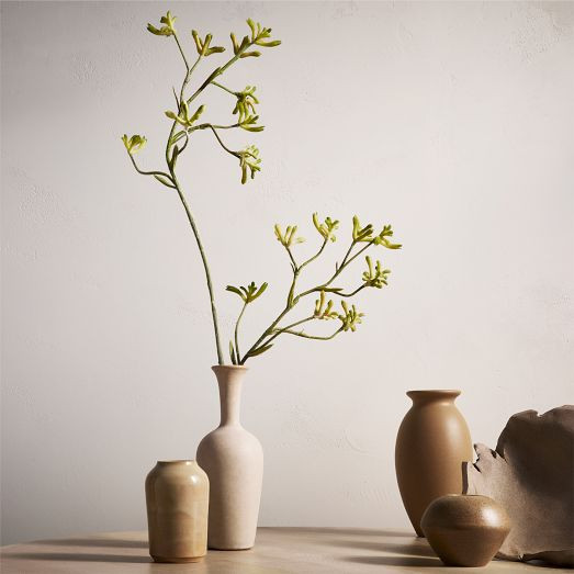 Faux Kangaroo Paw Stem | West Elm (US)