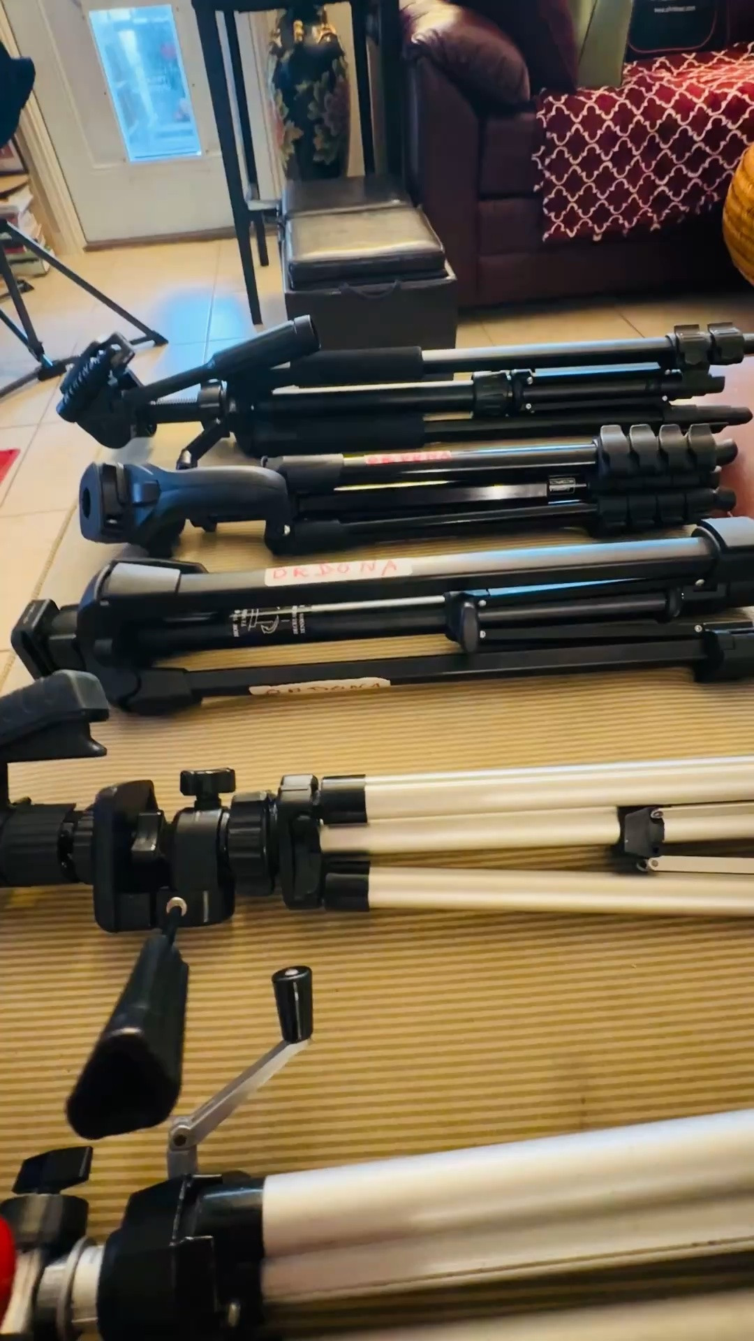 Why do I have five tripods? Because one tripod simply cannot do it all! :-) 
From taking selfies and filming Reels to photography, travel, and special events, each one has a different purpose.
These are the five tripods that help this 76-year-old content creator keep creating! :-) 
One of these is about 46 years old, btw! 

Shop my tripod collection here on LTK!

#LTKWedding #LTKdayinmylife #LTKTravel