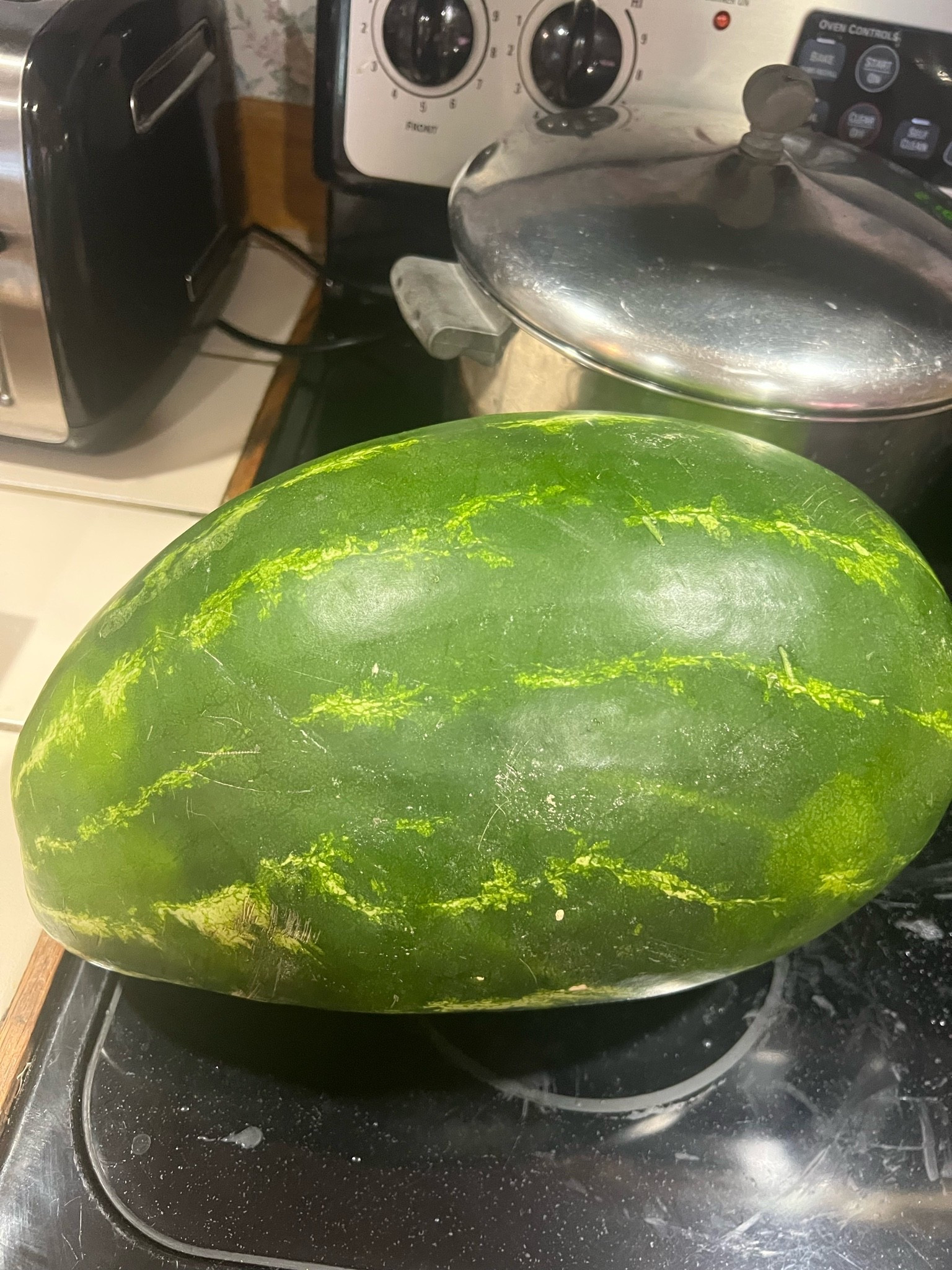 I look forward to cutting open this watermelon 🍉 🔪

#LTKdayinmylife #LTKstorytime #LTKfoodie