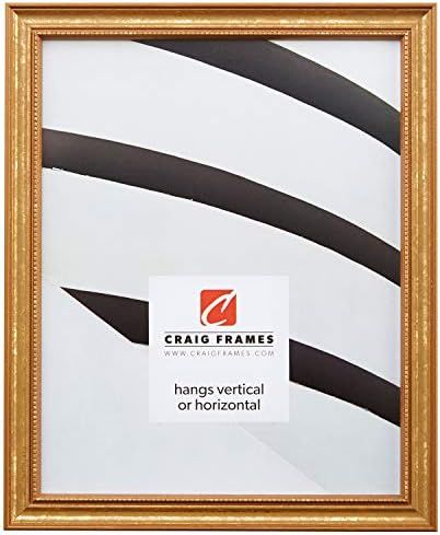 Amazon.com - Craig Frames 314GD 18 by 24-Inch Picture Frame, Ornate Finish.75-Inch Wide, Ornate G... | Amazon (US)