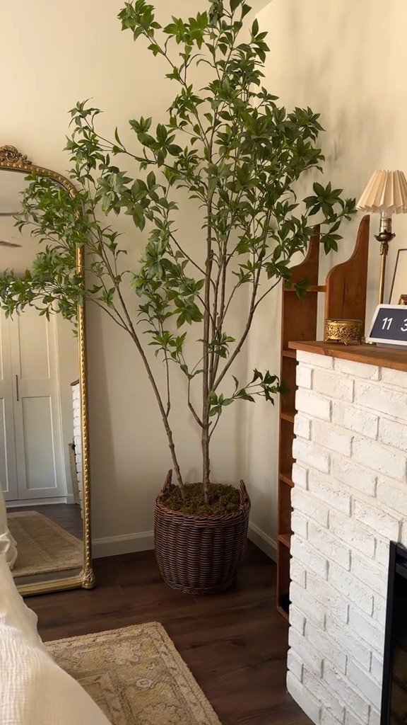 Ahhhhh I’m sorry, guys! At Home isn’t on LTK anymore, so I can’t l!nk it! But search “Honeybloom Haven Basket” on their website and you’ll find it! ❤️

A cozy new planter basket for our faux tree basket🧺🌳

#homedecor #interiordesign #fauxtree #cottagecore #cottagecoreaesthetic #Home #cozyathome #homedecorideas #planterbasket #treepot #pots #planter #planters 

#LTKHome #LTKFindsUnder50 #LTKFindsUnder100