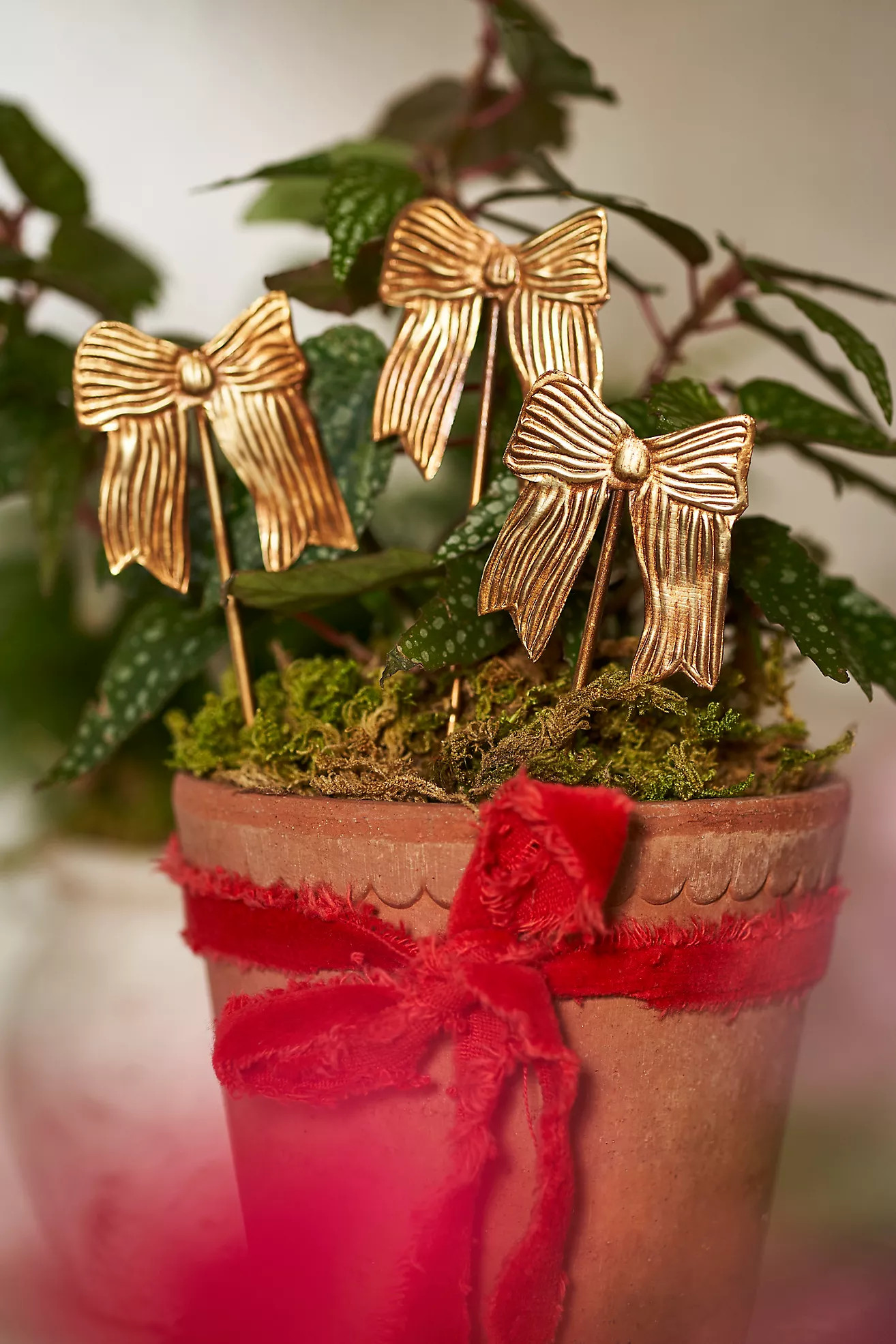 Bow Iron Stakes, Set of 4 | Terrain