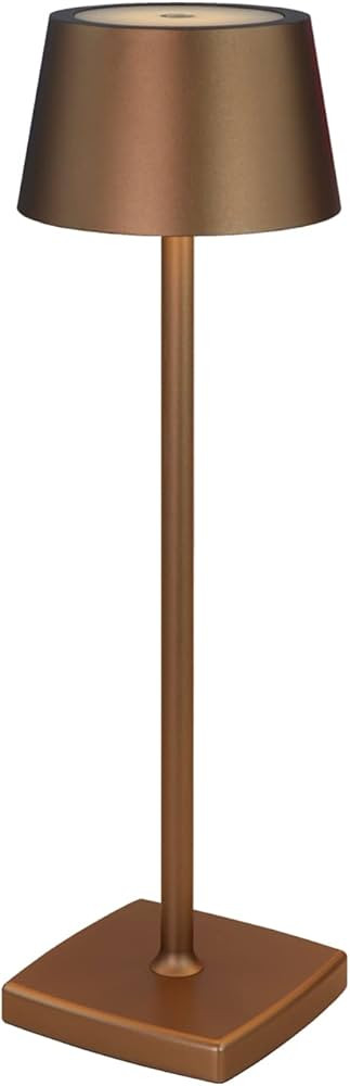 amhshkou Rechargeable led Cordless Table Lamps, Aluminum, dimmable,Suitable for Indoor and Outdoo... | Amazon (US)