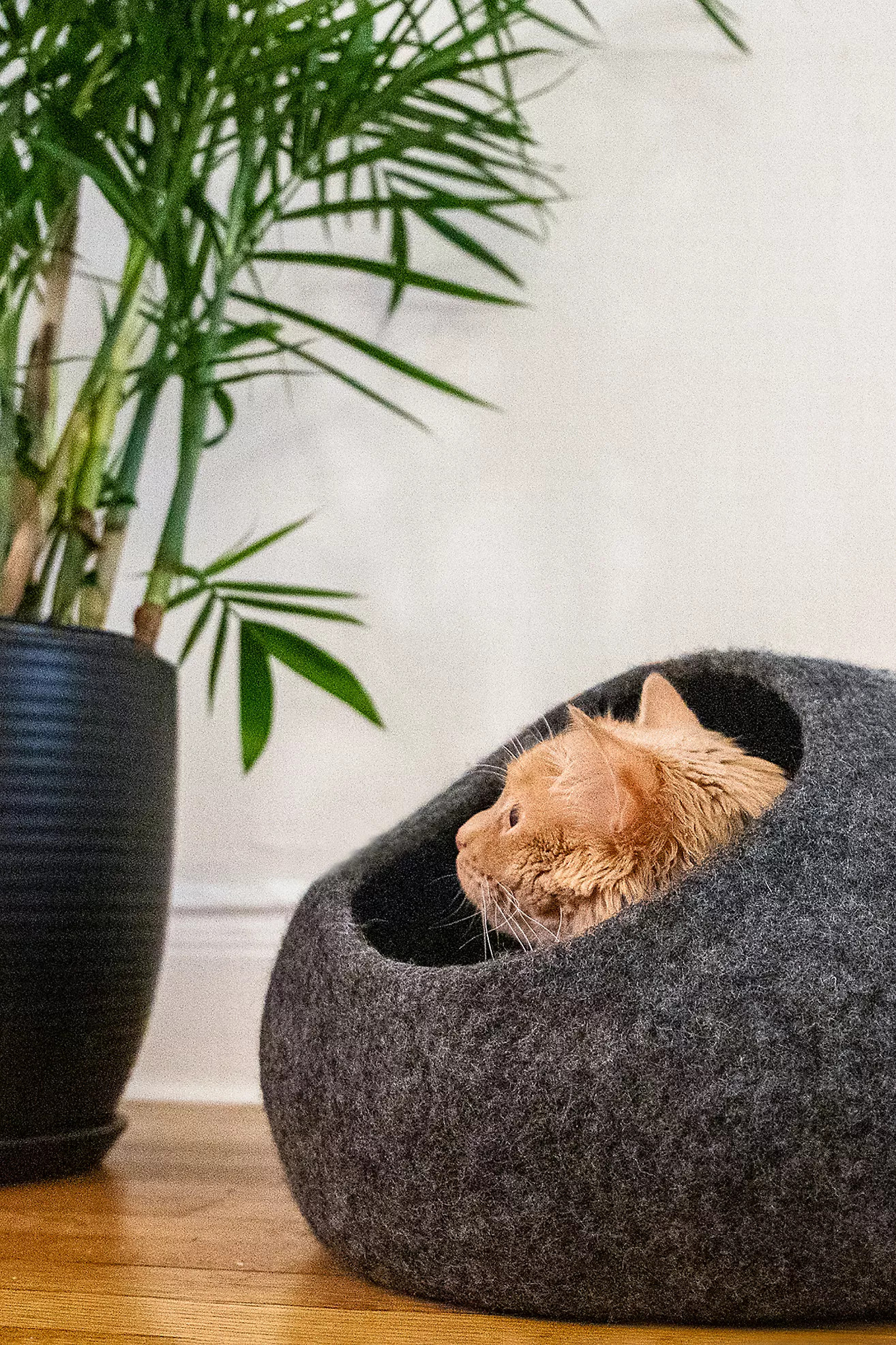 Mau Pet Horizon Cat Cave | Anthropologie (US)