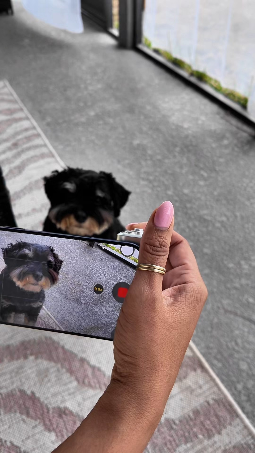 POV: You’re done balancing your camera on random objects 😭🎥

This Telesin Pro Shot Imaging Grip makes filming feel 10x more stable and professional. The ergonomic handle? Chef’s kiss. The control button on top? So convenient when you’re vlogging solo.

If you create content, travel, or just want smoother shots without the bulky setup… this is that girl.

Shop it on my LTK 💕 You’ll thank me on your next trip.

#ContentCreatorEssentials #TravelCreator #VloggingGear #CreatorTools #PinkTravelistaPicks