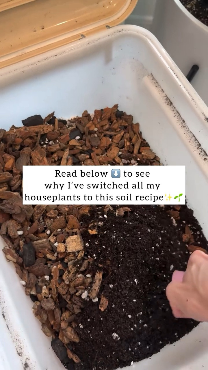 Which soil do I switch most of my houseplants to? 🪴🤔

This DIY potting mix is my go-to because it gives plant roots the perfect balance of drainage and airflow 💨🌱

It’s super simple and works for most houseplants!

✨ The Mix:
🌱 Fox Farm Potting Soil
🌱 Perlite
🌱 Orchid Bark

I usually start with equal parts, but depending on the plant, I’ll adjust the ratio.

For plants that love extra airflow around their roots, I add more orchid bark. For example, my Monstera gets extra bark because aroids prefer chunkier soil that drains fast.

Why I love this mix:
✔️ Helps prevent root rot with great drainage
✔️ Encourages strong, healthy roots
✔️ Easy to mix at home

#plantcare #pottingmix #houseplants #moneytree #plantmix #plantlover #diysoil #houseplanttips #plantcommunity #healthyplants

DIY houseplant soil mix | chunky aroid soil mix | Fox Farm perlite orchid bark mix | houseplant potting mix recipe | well draining houseplant soil

#LTKSpringSale #LTKOver40 #LTKHome
