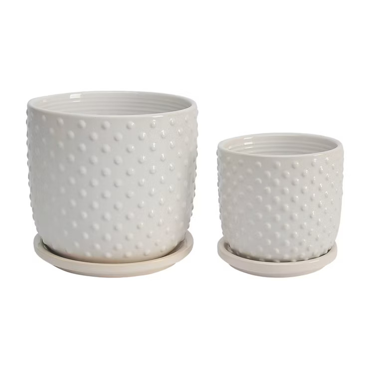 Set of 2 6" Tiny Dots Planter with Saucer White - Sagebrook Home | Target