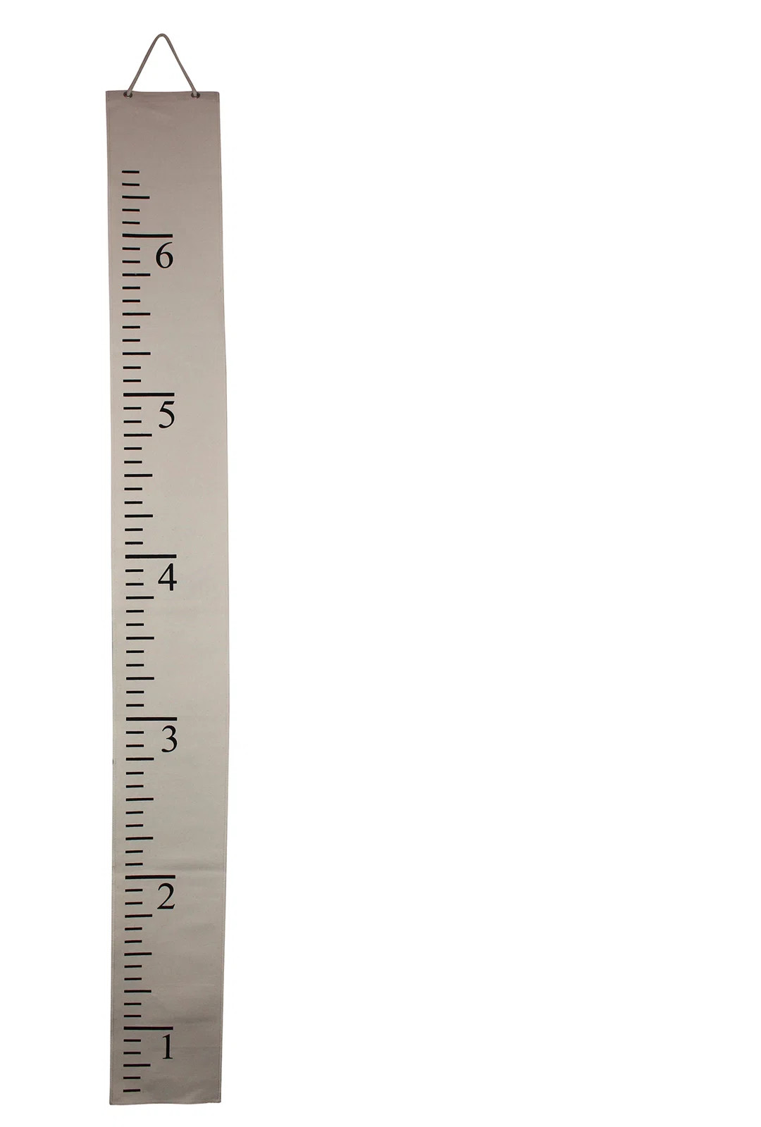 Charlize Plants & Flowers Growth Chart | Wayfair North America