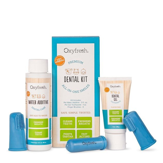OXYFRESH Dog & Cat Dental Kit - Chewy.com | Chewy.com
