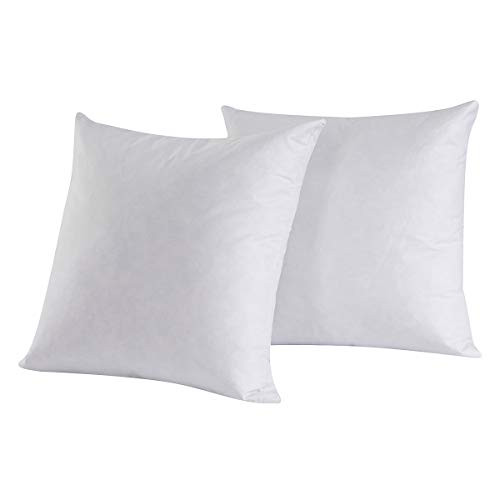 HOMESJUN Set of 2, 95% Feather 5% Down Square Decorative Throw Pillow Insert, Cotton Cover, 22x22... | Amazon (US)