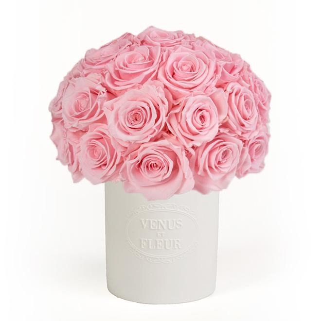 Porcelain Collection - Fleura Vase with Eternity Roses | Venus ET Fleur