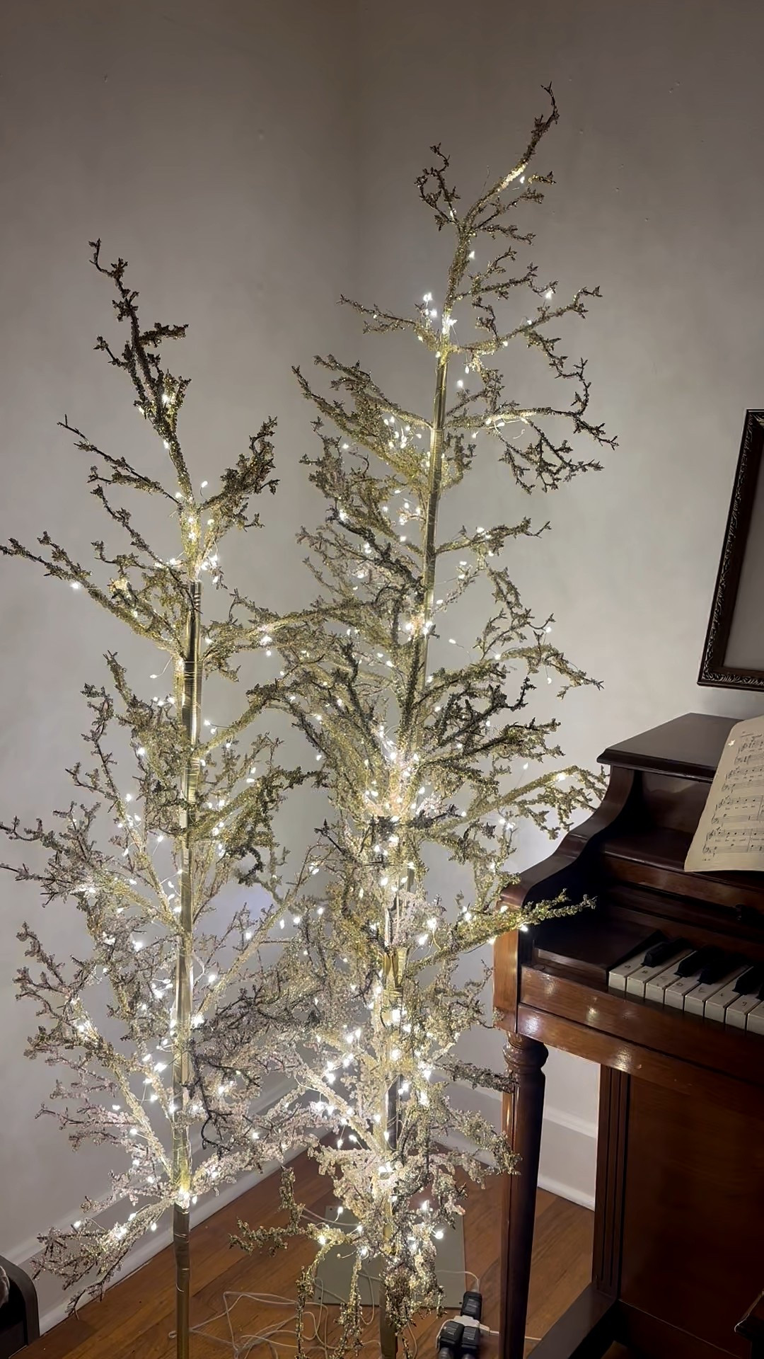 All I could do was gasp when I saw them in real life! They give off a cross between whitish gold and they are stunning! Grab them up! #walmart

#LTKCyberWeek #LTKHome #LTKHoliday