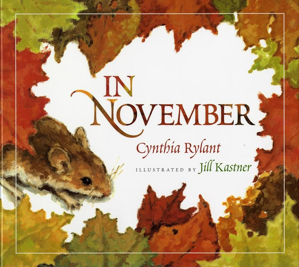 In November | Amazon (US)