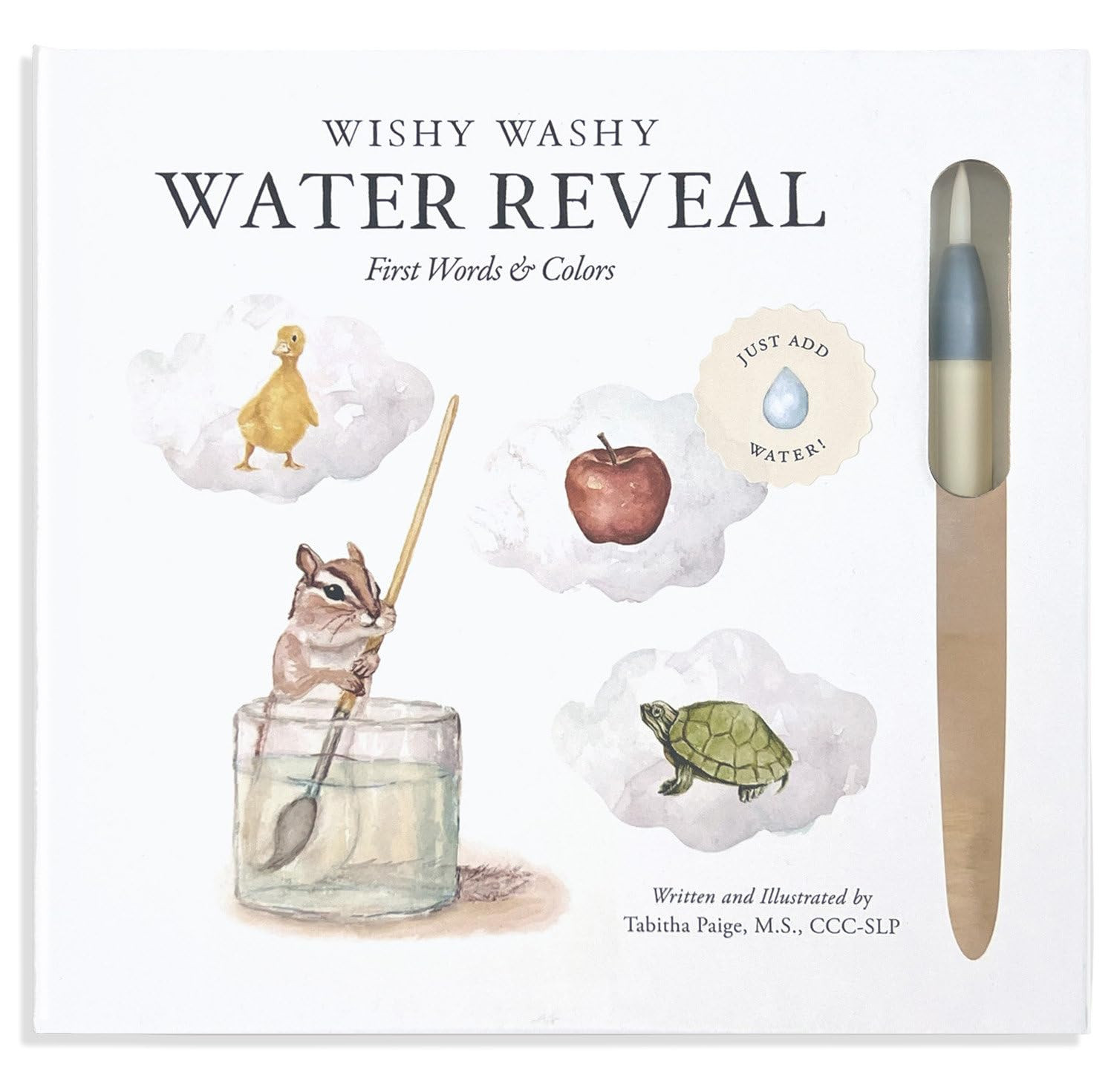 Wishy Washy (Water Reveal Edition): A Reusable Water Reveal Activity Book Teaching First Words an... | Amazon (US)
