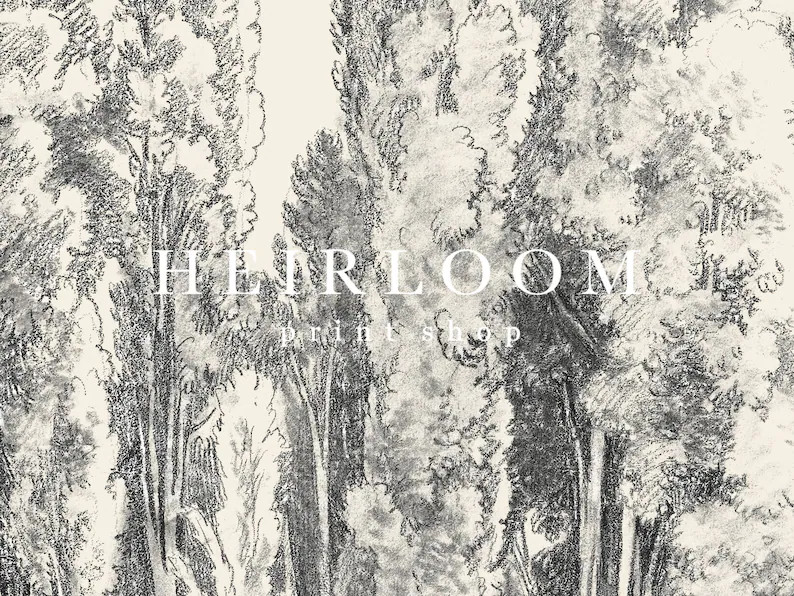 Vintage Drawing | Tree Sketch | FINE ART PRINTS | Vintage Art Print | Cypress | Etsy (CAD)