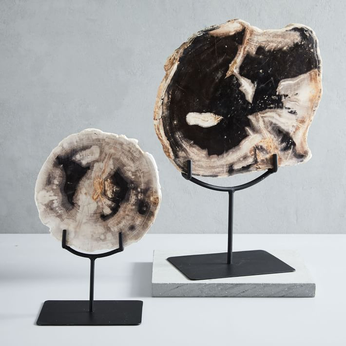 Petrified Wood Object on Stand | West Elm (US)