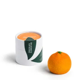 Chocolate Clementine | Daylesford Organic