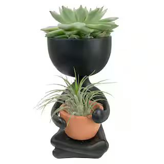 Wekiva Foliage Zen Harmony Planter - Live Plants in a Decorative Pot - Cactus Succulent Air Plant... | The Home Depot