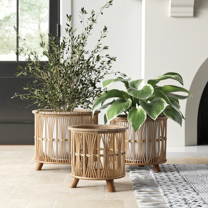 Woven Footed 3 - Piece Bamboo Basket Set | Wayfair North America