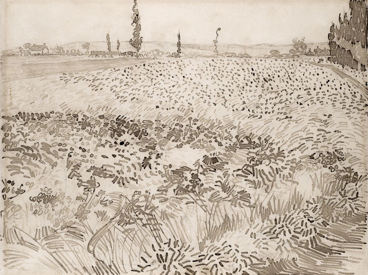 Wheatfield Sketch | Collection Prints
