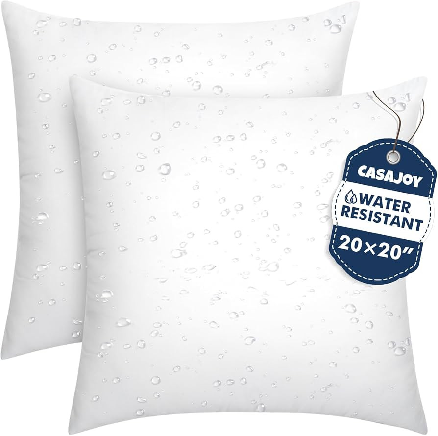 2 Pack 20x20 Outdoor Pillows, Water Resistant Throw Pillow Inserts | Amazon (US)
