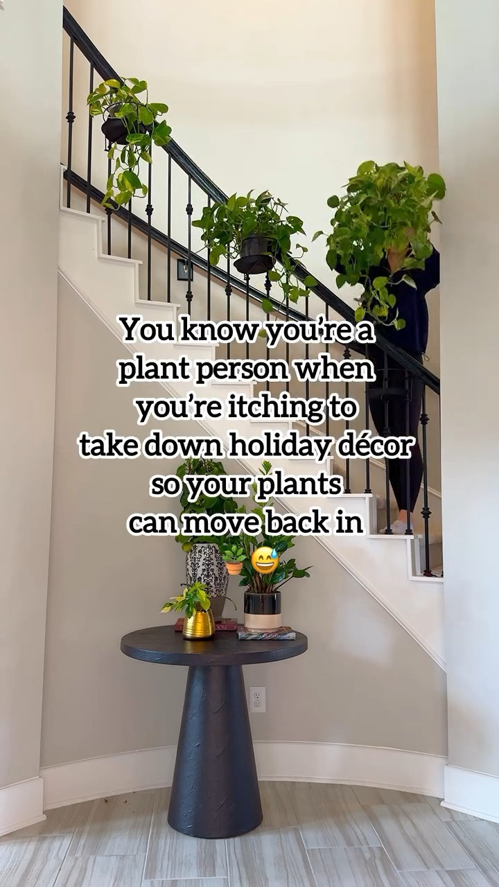 I love holiday décor… but my plants have been patiently waiting for their spots back 😅🪴 Anyone else?

#plantperson #houseplantlife #plantlover #indoorplants #plantsofinstagram

#LTKdayinmylife #LTKmomlife #LTKHome