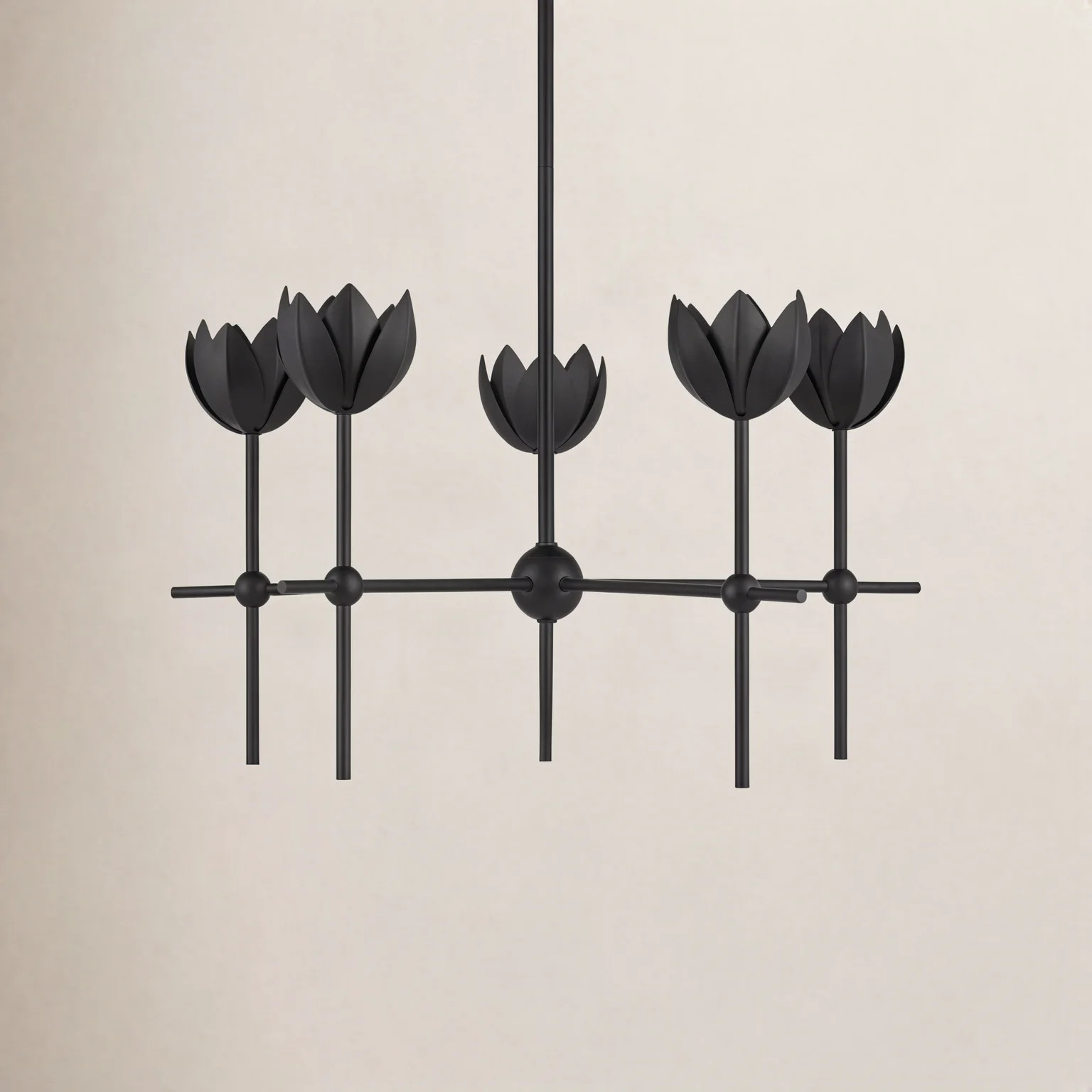Bella 5-Light Chandelier | Birch Lane
