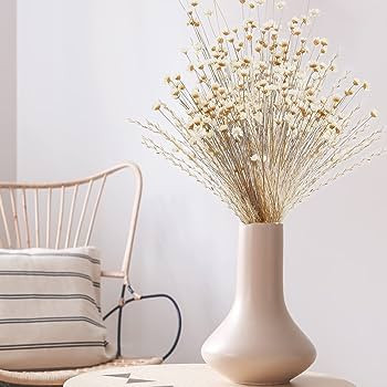 WILLBOND Natural Dry Flowers Brazilian Small Star Daisy Dried White Decorative Mini Chamomile Bou... | Amazon (US)