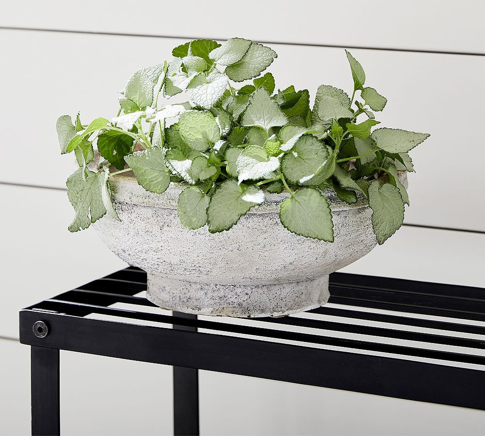 Artisan Planter Low Bowl, Small | Pottery Barn (US)