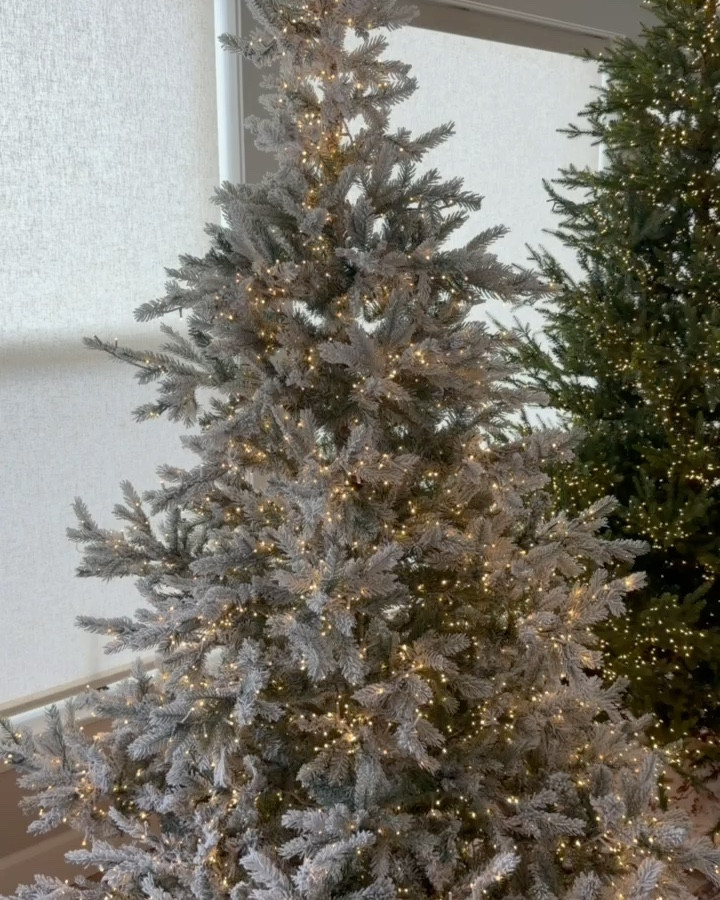 A side by side comparison of my two favorite holiday trees! We have the 9’ Norway Spruce and 7’ Snowy Grandis Fir! Both are 25% off right now plus tree decor and trimmings, too! 

#LTKHoliday #LTKHome #LTKSaleAlert