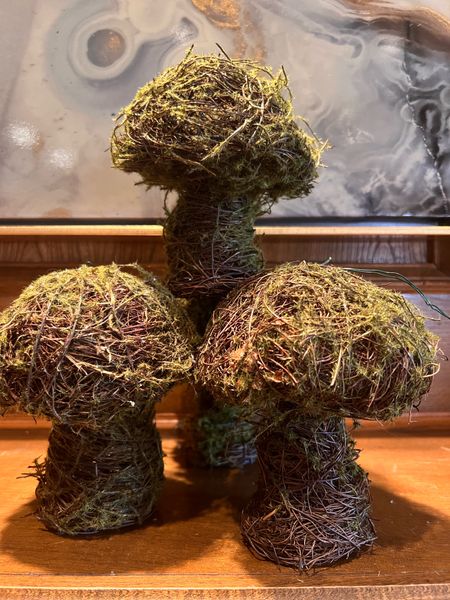Moss mushrooms - from my Christmas tree to spring decor.  

#LTKstyletip #LTKhome #LTKSeasonal