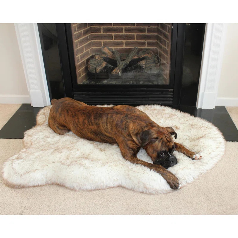 Potrero Puprug Faux Fur Orthopedic Dog Mat | Wayfair North America