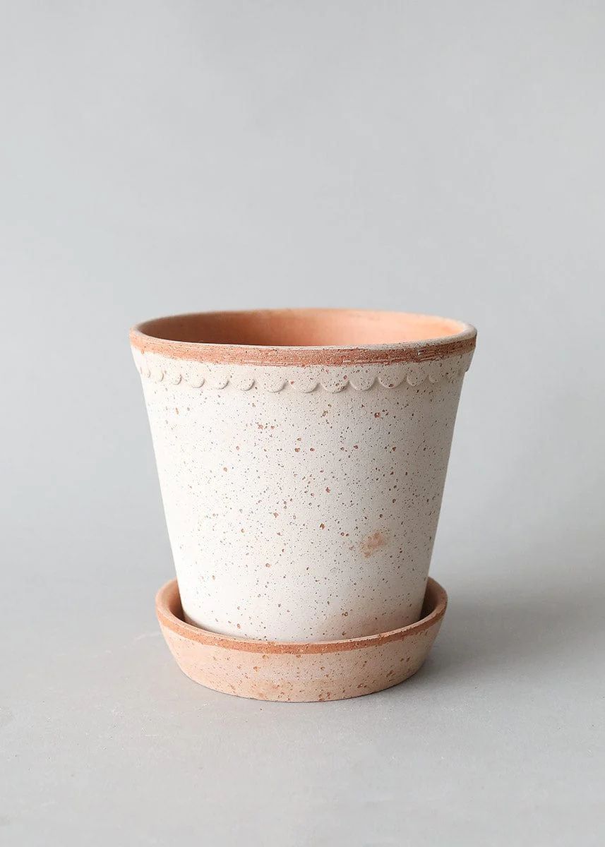 Bergs Handmade Clay Pot with Drainage - 6.5" | Afloral
