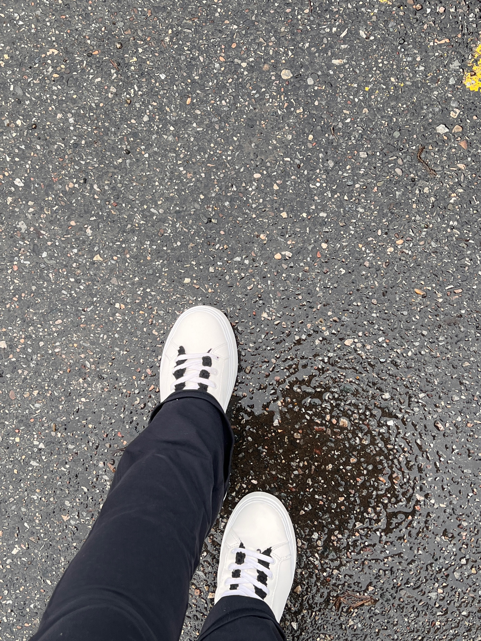 winter sneakers