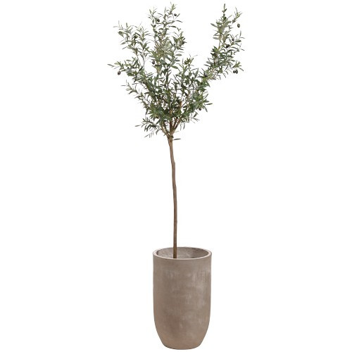 Faux Olive Tree in Cement Planter, 8' | Williams-Sonoma