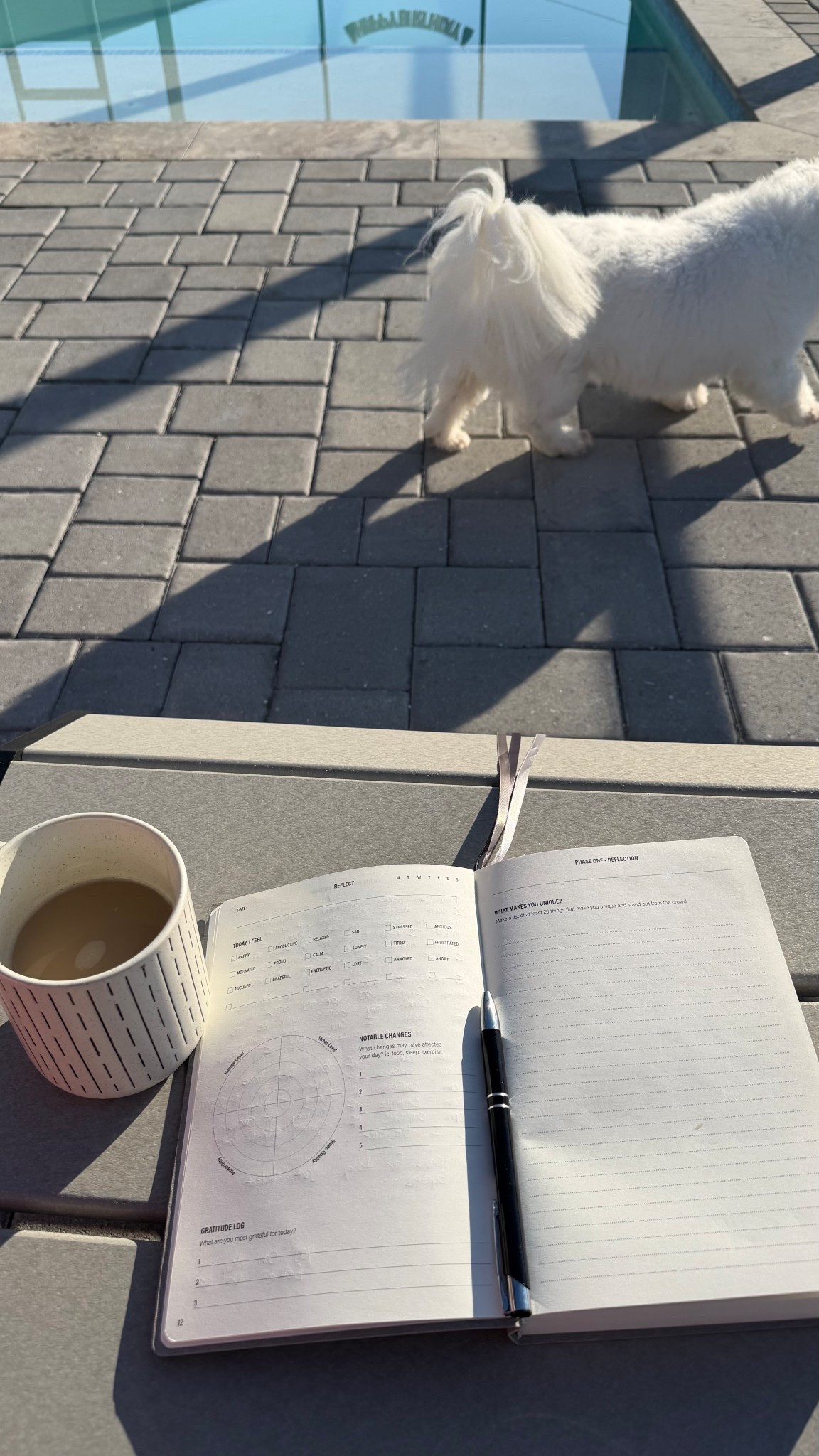 Journaling really helps me stay grounded I’m such an overthinker !! Also the book I’m currently reading such a good book 

#LTKmorningroutine #LTKGiftGuide