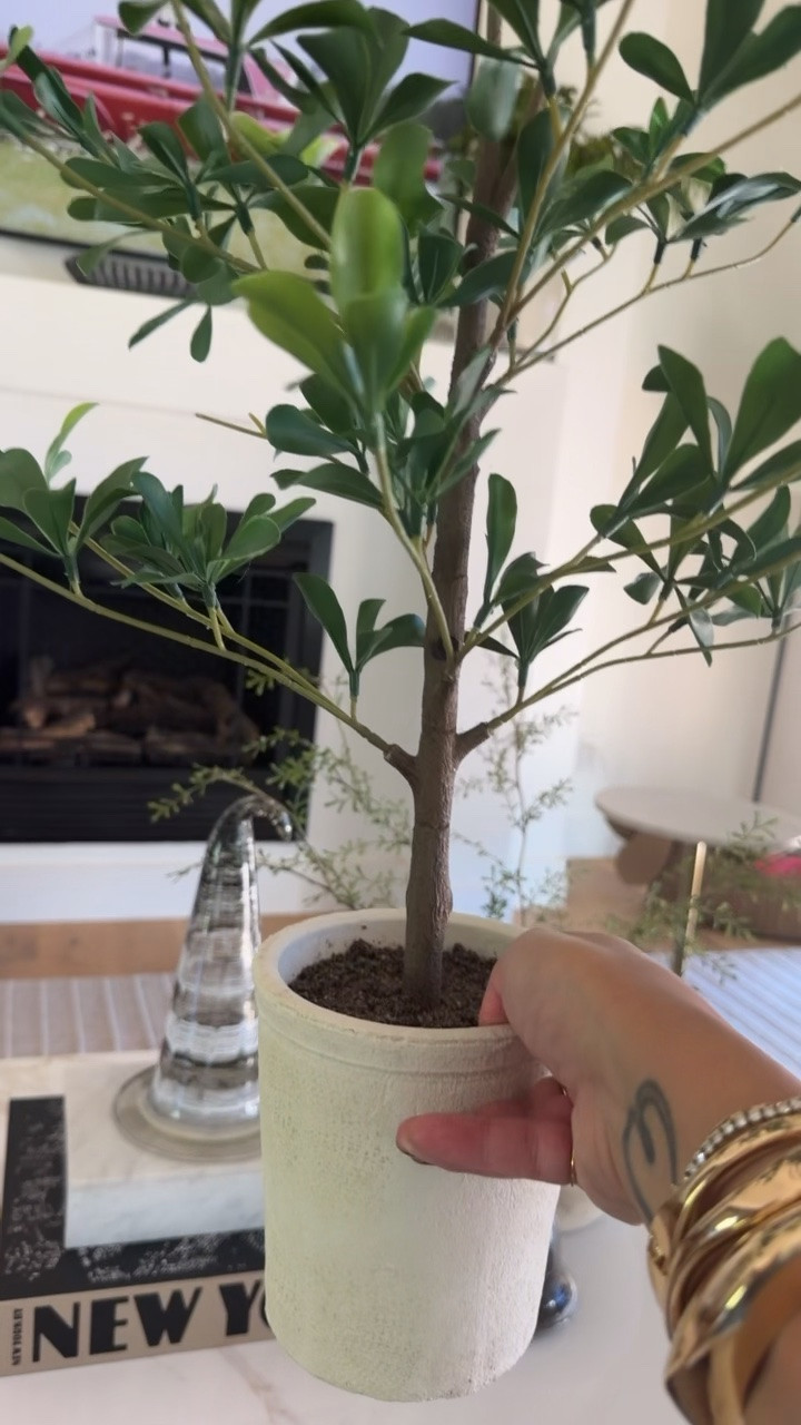 It’s $35 for this faux plant, which is an amazing price!