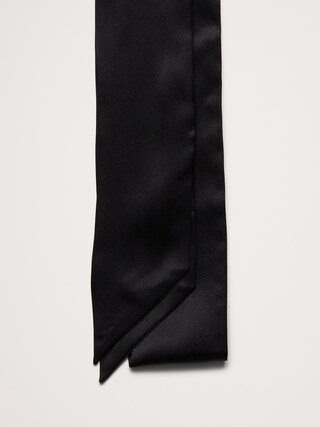 Silk Skinny Scarf | Banana Republic (CA)