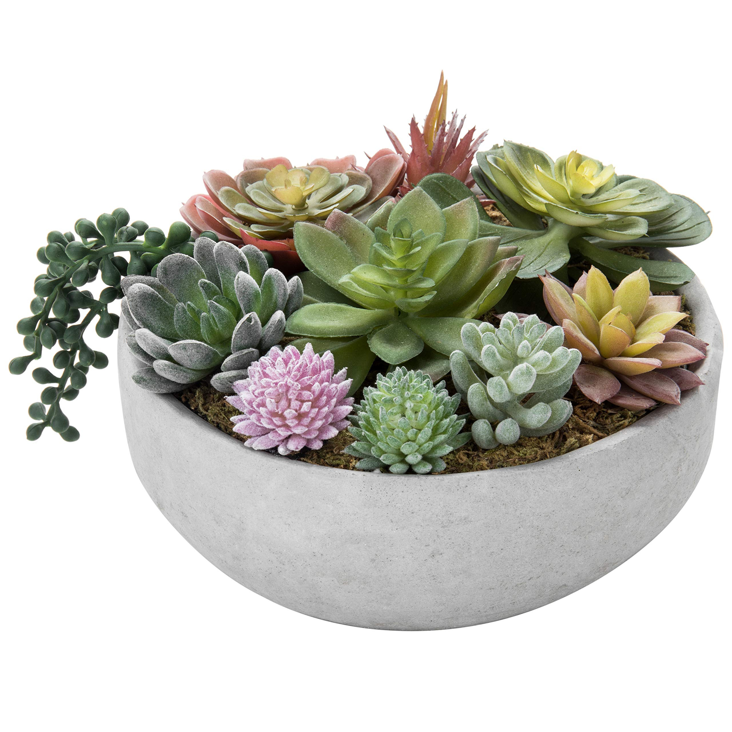 MyGift 8 Inch Round Modern Artificial Succulent Arrangement Potted in Gray Concrete Plant Bowl, A... | Amazon (US)