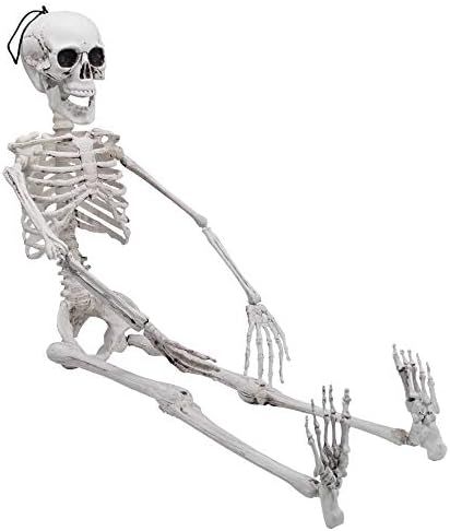 Halloween Decoration Pose-N-Stay Full Body Skeleton Plastic Bones 36" with Posable Joints for Pos... | Amazon (US)