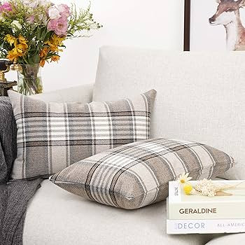 YOUR SMILE Set of 2 Retro Farmhouse Outdoor/Indoor Buffalo Tartan Chequer Stripe Plaid Cotton Lin... | Amazon (US)
