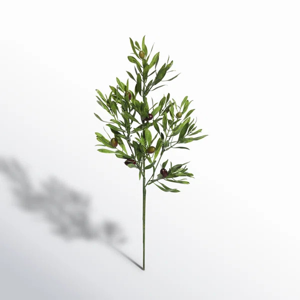 Anelis Olive Arrangement | Wayfair North America