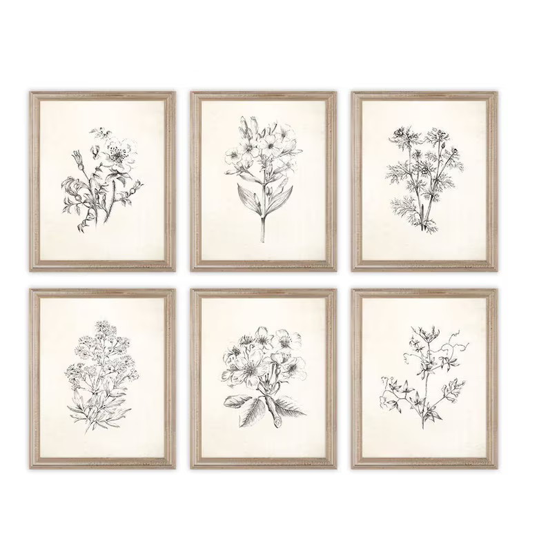 Vintage Botanical Flowers Sketch Prints. Set of Six Prints. Botanical Art. Botanical Prints. Flow... | Etsy (US)