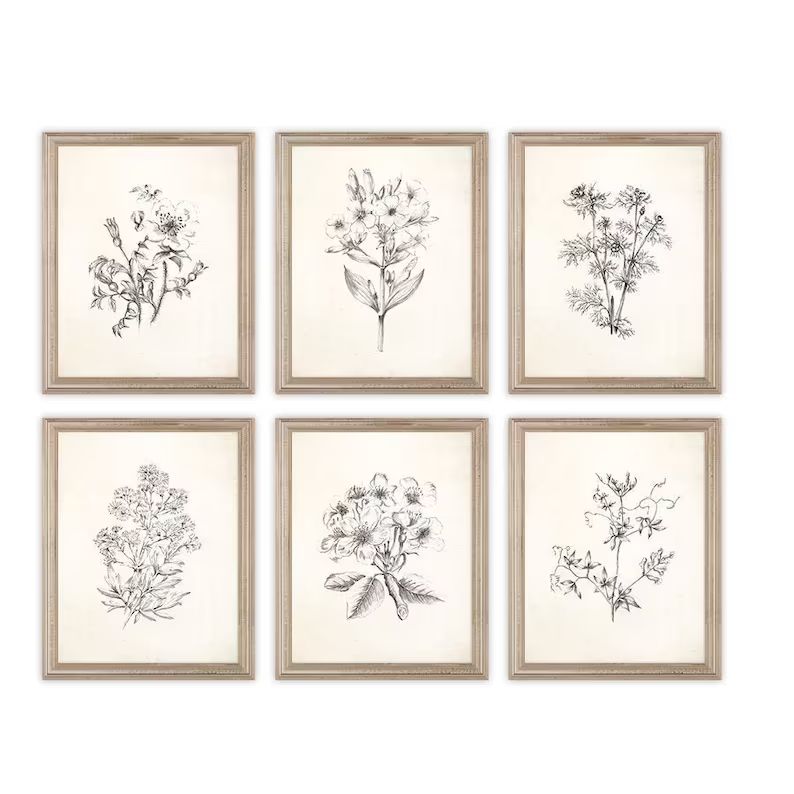 Vintage Botanical Flowers Sketch Prints. Set of Six Prints. Botanical Art. Botanical Prints. Flow... | Etsy (US)
