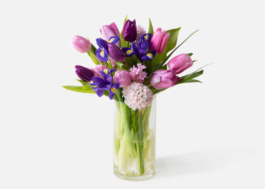 The First Bloom | UrbanStems
