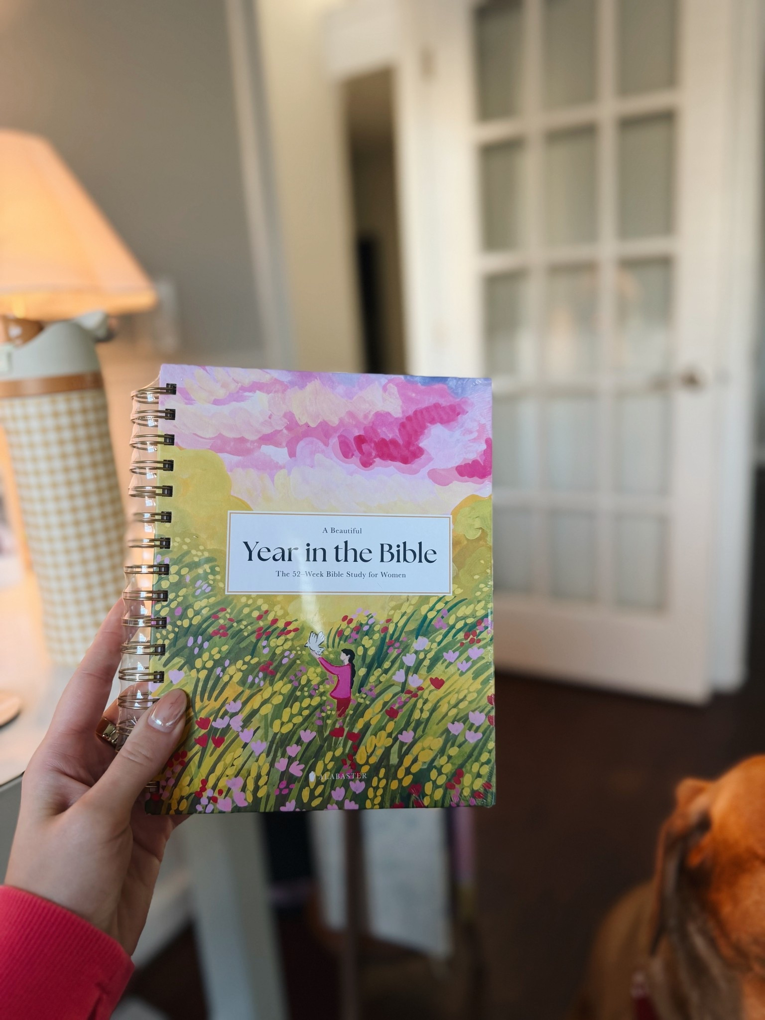 Got this as a gift, cannot wait to use it!

#LTKGiftGuide #LTKmomlife #LTKHoliday